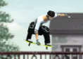 Skateboard City